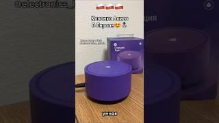 Как подключить колонку Алиса в Польше? Ответ смотри в Instagram: electronics_latvia