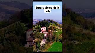 Luxury vineyards in Italy #luxury #rich # #vine #wine #vineyard #fyp #viral #italy