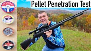 Airgun Pellet Penetration Test!