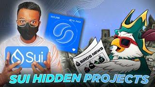 SUI Hidden Projects | SUI Airdrop | TOP Sui Projects | Sui Ecosystem | WEB3 BROTHERS