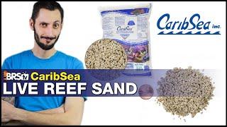 CaribSea Reef Live Sand: Be honest, a saltwater tank looks better with sand! We think so.