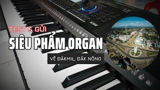 Trùm Organ dưới 10 triệu về ĐắkMil, Đắk Nông // Kurtzman K350