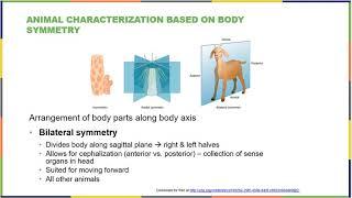 OpenStax Biology 2e Chapter 27 Animal Diversity