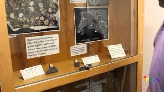 Alan Rubin hosts a tour of UCLA’s Meteorite Gallery