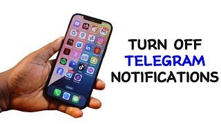 How to Turn Off Telegram Notifications on iPhone