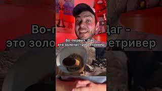 Интересная деталь в мультфильме «Вверх»