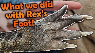 Casting our Alligator's Foot Part 2! (The Final Product)