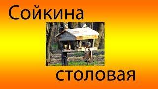 Сойкина столовая