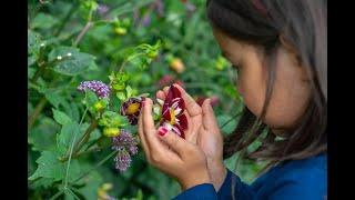 CHE Café: What’s Next in Environmental Health?