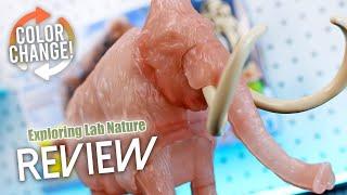 Mammoth - Exploring Lab Nature UNBOXING and Review!