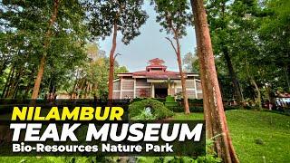 Nilambur Teak Museum | world's first teak museum | TheruvuThendi #nilambur #malappuram #museum