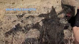 KEKLİK AVI #partridge hunt #keklikavı #hunter #kekliksesi #doğa