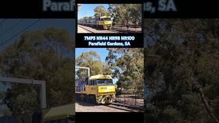 7MP5 raves through Parafield Gardens with NR44 + NR98 + NR100 #shorts #seb #trains #train #cars #car