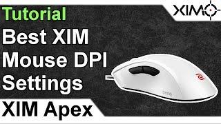 XIM APEX - Best Mouse DPI Settings for XIM Tutorial