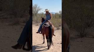 js some cutie clips of me n my mare  #horseriding #horsegirl #westernhorse #lope #gallop #az