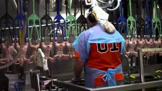 Understanding Poultry Inspection