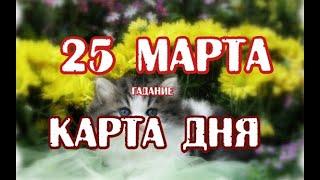 Гадание на 25 марта 2020 года. Карта дня. Таро Мистических Кошек.