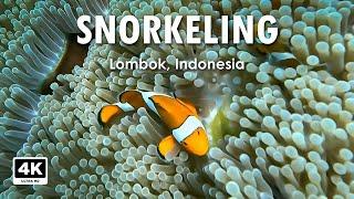 Discover the Underwater Paradise: Snorkeling in Gili Nanggu, Gili Trawangan, Gili Meno & Gili Air