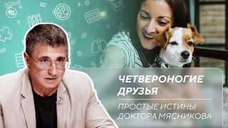 Доктор Мясников о том, почему важно иметь домашних животных