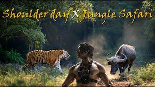 Training shoulder & jungle safari saw tiger attack