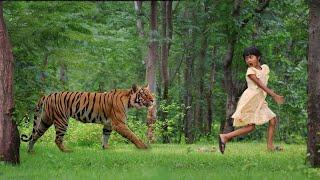 Tiger Attack Children in Royal Bengal forest | tiger attack in jungle  episode 23