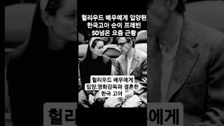 헐리우드배우에게 입양된 한국고아 순이 프레빈 요즘근황 #우디앨런