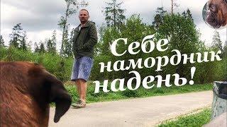 СОБАКА БЕЗ НАМОРДНИКА.Случай на прогулке.Немецкий боксер Тайсон  Пранк