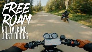 The Speed Twin Is NOT Designed For This // Triumph Speed Twin 1200 [4K]