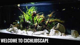 WELCOME TO CICHLIDSCAPE | Our New Channel Trailer