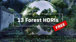 Download 13 FREE Forest HDRI Environment Maps | Outdoor Renders | Shutterstock Tutorials