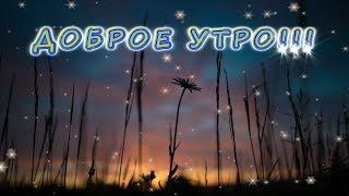 Доброе утро - после ночи наступает рассвет! (позитив от Happy Зая)