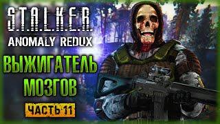 ОТКЛЮЧЕНИЕ ВЫЖИГАТЕЛЯ МОЗГОВ! | STALKER Anomaly Redux ️ | (часть 11)