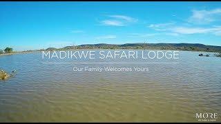 Madikwe Safari Lodge Experience