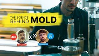 Breaking Down Mold Remediation (w/ Modern Techniques for Mold Removal)