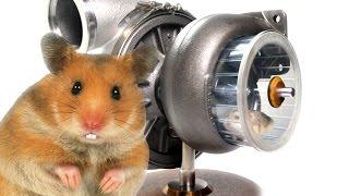 Hamster Turbo Teaser Trailer  -  Hybrid Turbos