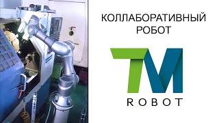 Коллаборативный робот (кобот) TM5 подает заготовки в станок ЧПУ, TM Robot (Тайвань)