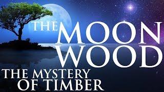 THE MOON WOOD - HIDDEN KNOWLEDGE ABOUT TIMBER