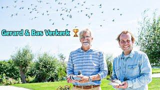 Verkerk Racing Pigeons: Secrets of a Champion Breeding Loft! ️