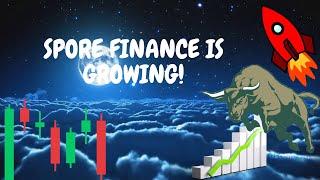 Spore Finance keeps on Growing! New Matic Projects!