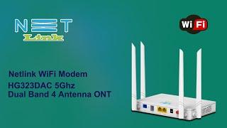 Netlink HG323DAC ONT|splicers group