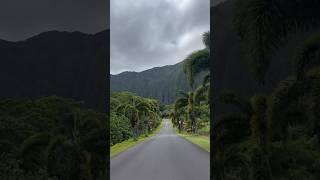 Mentally in hawai #hawaii #honolulu #botanicalgarden #travelvlog #nature