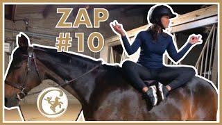 ZAP CHEVAL #10