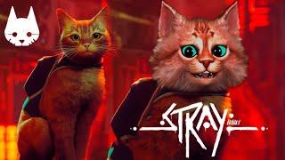 ИСТОРИЯ ЖИЗНИ КОТИКА в Stray Прохождение часть 1 - В поиске друзей Весёлый Кот