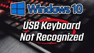 USB Keyboard Not Recognized in Windows 10 FIX [2024]