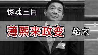 ”薄熙来政变”始末 | The Failed Coup by Bo Xilai [Eng Sub]