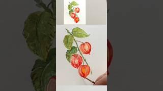 Physalis or Lantern seeds Watercolor Физалис Акварель #Shorts#watercolor#physalis#физалис#акварель