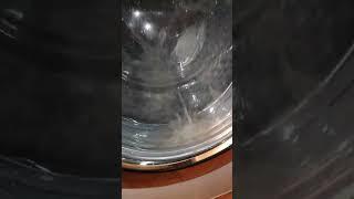 miele w 3623 clean up very dirty