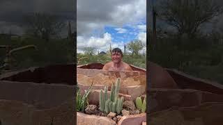 The Cactus Tub we built at desert Cabinland #handmade #diy