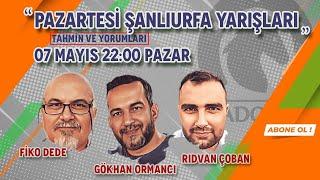 08 Mayıs 2023 // Şanlıurfa At Yarışı Tahminleri // Fiko Dede - Rıdvan Çoban - Gökhan Ormancı