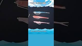 광어다운샷 웜 끼우는 방법